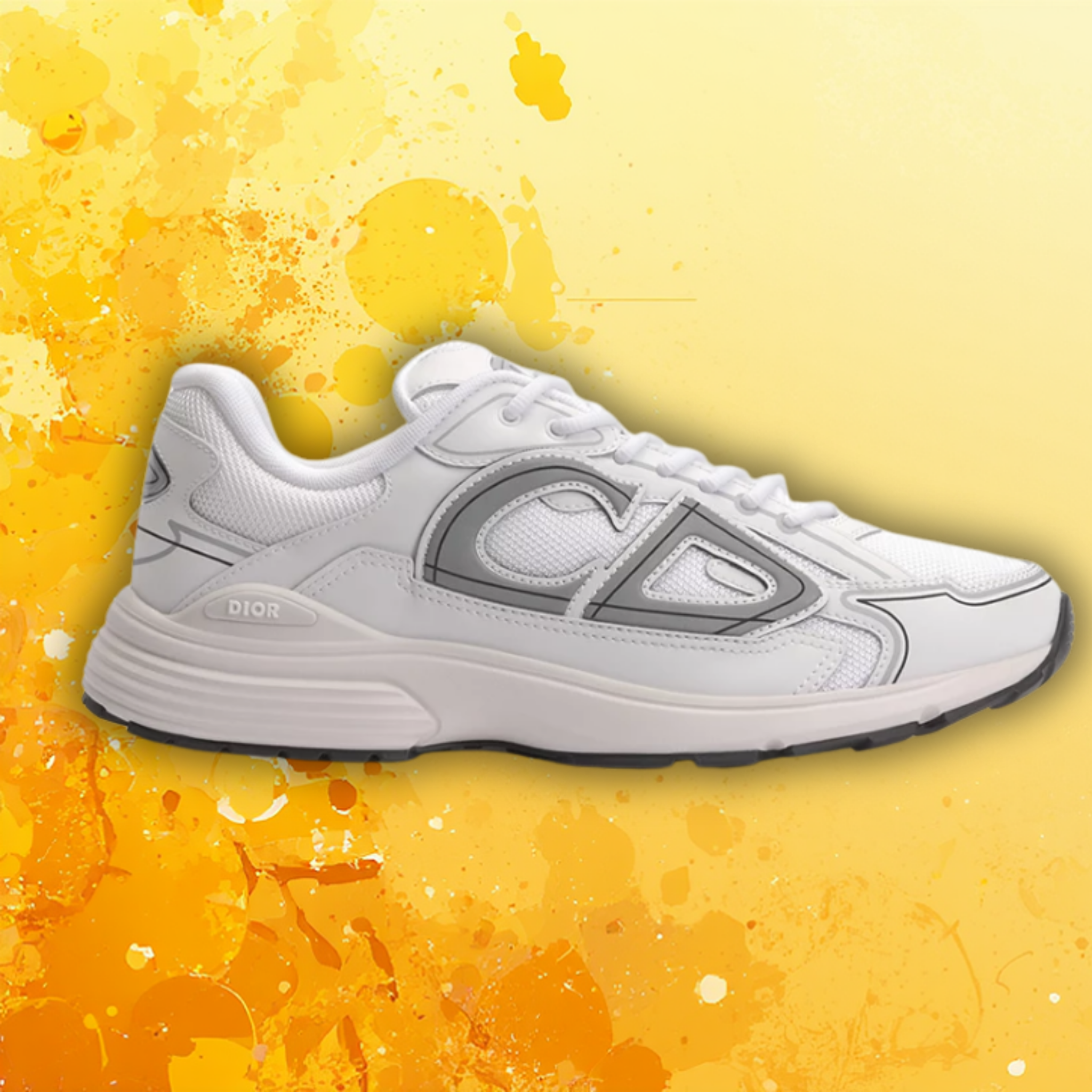 Dior B30 – Blanco y Gris