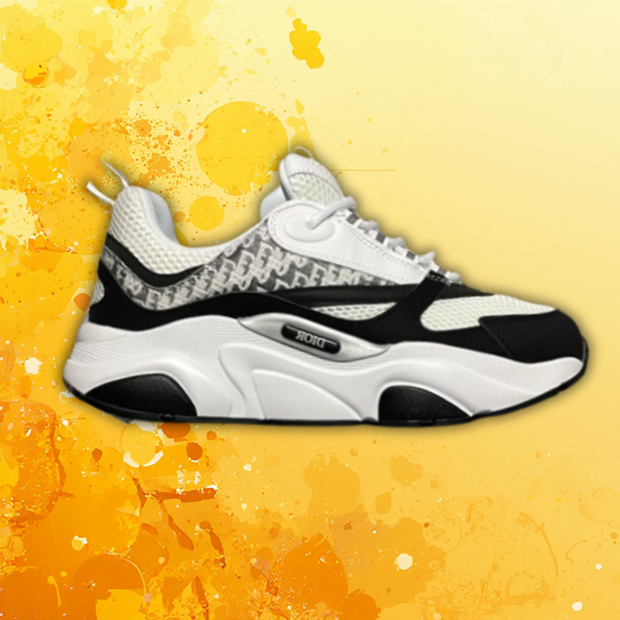 Dior B22 – Blanco y Negro